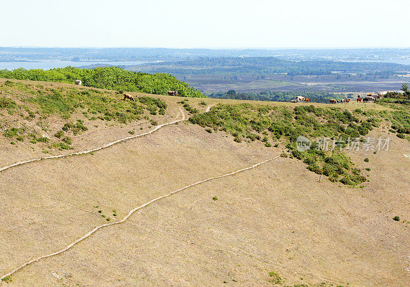 从Purbeck Ridgeway显示在山坡上的轨迹，Purbeck岛，多塞特，英格兰